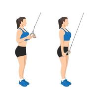 vrouw aan het doen kabel touw triceps Trekken naar beneden of Duwen oefening. vlak vector illustratie geïsoleerd Aan wit achtergrond