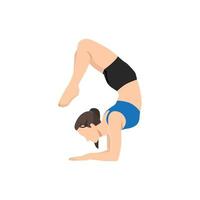 vrouw aan het doen schorpioen houding. mooi meisje praktijk vrschikasana. vlak vector illustratie geïsoleerd Aan wit achtergrond