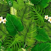 tropisch exotisch planten, bloemen naadloos patroon vector