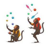 circus tonen getraind apen jongleren ballen, knotsen vector