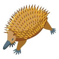 rennen echidna icoon isometrische vector. schattig dier vector