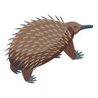 schattig echidna icoon isometrische vector. dier natuur vector