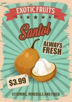 exotisch fruit santol retro poster met keerkring voedsel vector