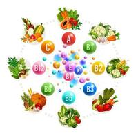 voeding van vitamines en mineralen, vector