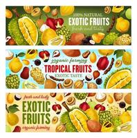 exotisch fruit en bessen. tropisch voedsel, drinken vector