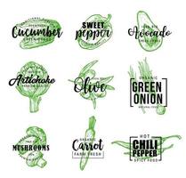 biologisch groenten groen belettering pictogrammen vector