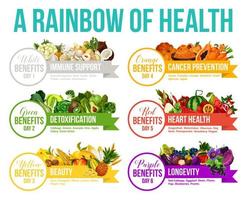 kleur eetpatroon regenboog fruit en groenten vector