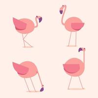 schattig illustratie van flamingo en welpen. flamingo gemakkelijk uitdrukking. vlak vector illustratie