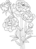 pioen bloem tekening, geïsoleerd boterbloem bloem hand- getrokken vector schetsen illustratie, botanisch verzameling Afdeling van blad bloemknoppen natuurlijk verzameling kleur bladzijde bloemen boeketten gegraveerde inkt kunst.