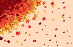 kleurrijk herfst vallen bladeren bloemen achtergrond illustratie met esdoorn- blad vector