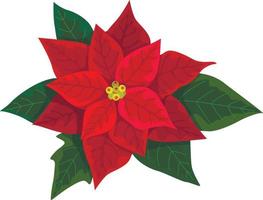 kerstster bloem voor Kerstmis of nieuw jaar groet kaart ontwerp. vector realistisch icoon voor Kerstmis winter vakantie decoratie
