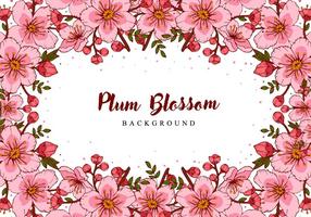 Plum Blossom Hand Draw Achtergrond vector