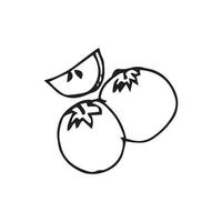 hand- getrokken mangosteen. mangisboom vector illustratie voor ontwerp met lijn stijl