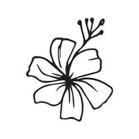 hand- getrokken bloemen voor decoratie. lijn kunst hand- getrokken bloemen in wijnoogst stijl vector