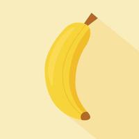 banaan vlak illustratie Aan geel achtergrond met natuurlijk schaduw. geel banaan voor afdrukken. vector