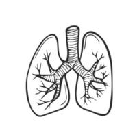 longen tekening tekening, medisch achtergrond. uitstekend vector illustratie, eps 10