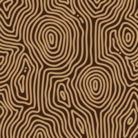 woodgrain textuur vector