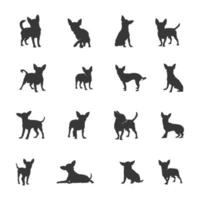 chihuahua hond silhouetten, chihuahua hond silhouet reeks vector