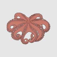 Octopus doodles dier vector