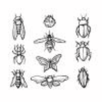 Gratis Schets Insect Icon Vector