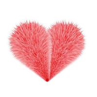 grappig vacht hart. pluizig schattig realistisch 3d rood hart. harig tekenfilms ontwerp. vector illustratie