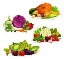 groenten, vegetarisch voedsel salades en kool vector