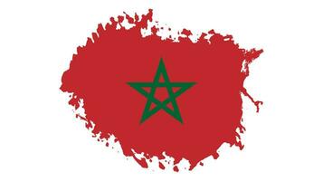 vrij borstel beroerte Marokko vlag vector beeld