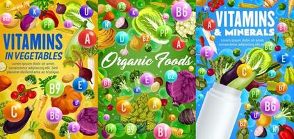 vitamines en mineralen in groenten vector groenten