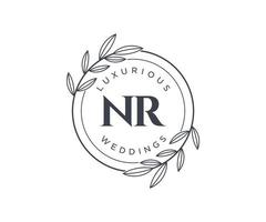 nr initialen brief bruiloft monogram logos sjabloon, hand- getrokken modern minimalistisch en bloemen Sjablonen voor uitnodiging kaarten, opslaan de datum, elegant identiteit. vector