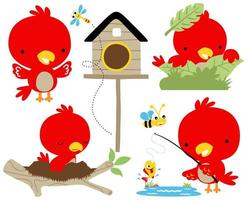 vector reeks van rood vogel tekenfilm illustratie in verschillend werkzaamheid