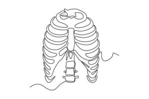 single een lijn tekening rib kooi anatomie. menselijk orgaan concept. doorlopend lijn trek ontwerp grafisch vector illustratie.