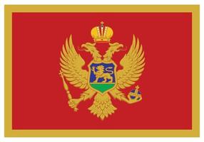 nationaal vlag van Montenegro - vlak kleur icoon. vector