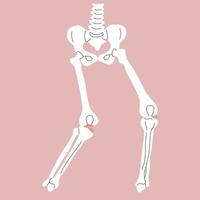 voorste kruisvormig ligament verwondingen vector