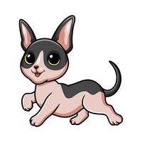 schattig kat Cornish rex tekenfilm vector