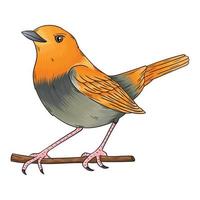 vector rood anijs vogel met mooi het zingen geluid