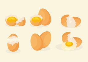 Realistische gebroken eieren vector