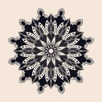 luxe mandala ornamenten ontwerp vector