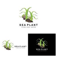 zeewier logo, zee planten vector ontwerp, kruidenier en natuur bescherming