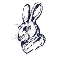 hand- getrokken portret van een konijn. konijn hoofd schetsen. konijn ingelijst met penseelstreek en iris bloemen. vector