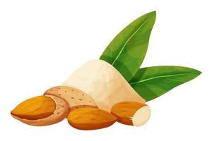 amandel poeder, meel versierd met amandel noten in notedop, bladeren in tekenfilm stijl geïsoleerd Aan wit achtergrond. bakken ingrediënt, voedingsstof voedsel. vector