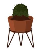 kamerplant cactus icoon vector