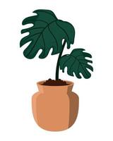 kamerplant tropisch blad vector