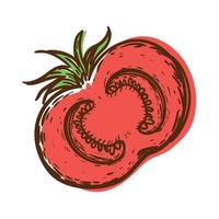 halve tomaat groente vector