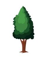 coniferus boom fabriek Woud vector