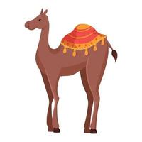 kameel woestijn vervoer vector