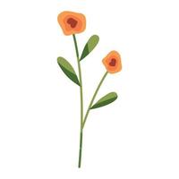 oranje bloemen tuin vector