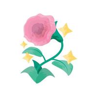 roze bloem roos vector