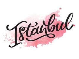 Istanbul. hand belettering. vector logo van istanbul in zwarte kleur met meeuwen op witte achtergrond. souvenirproducten, bannerembleem, reisblog sociale media, brochure, flyer. digitale illustratie.