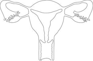 doorlopend lijn kunst tekening van vrouw voortplantings- baarmoeder vector