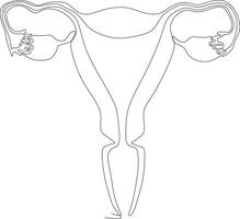 doorlopend lijn kunst tekening van vrouw voortplantings- baarmoeder vector